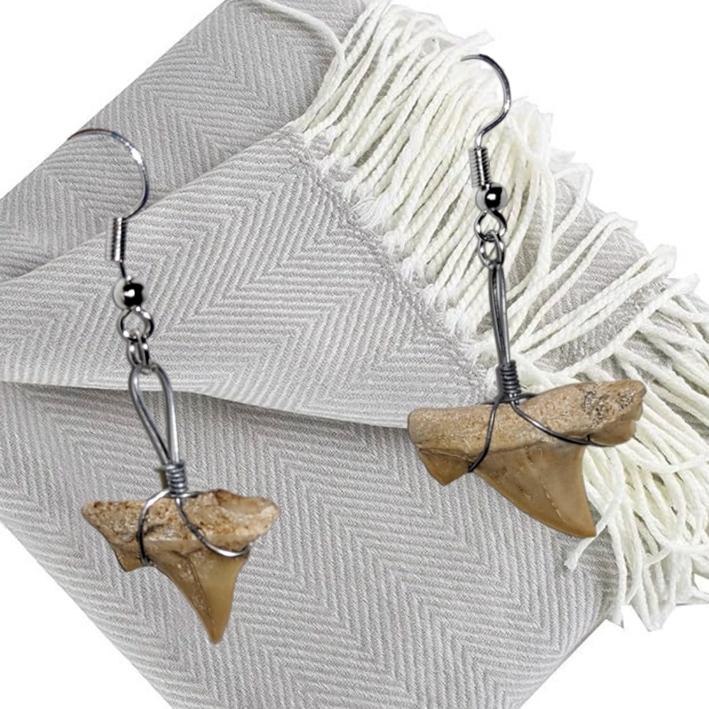 🎄10/$20. Genuine Fossilized Shark Tooth Earrings